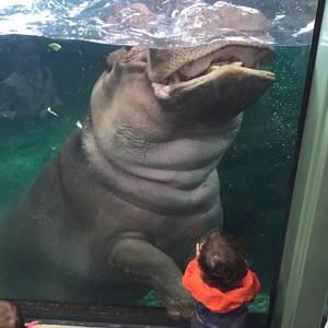 Meet your Posher, Bonnie